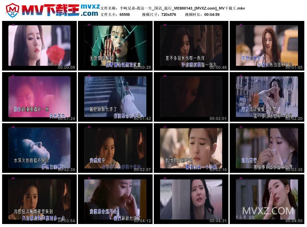 半吨兄弟-我这一生_国语_流行_ME800143